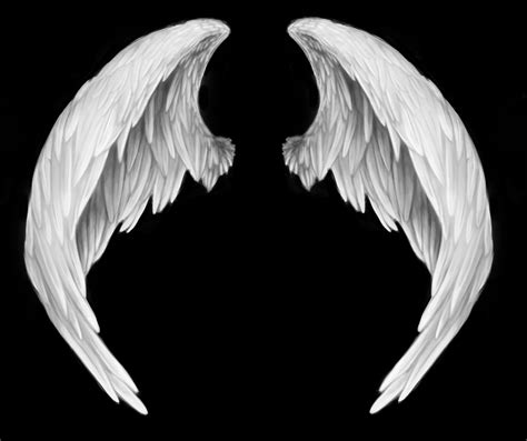 Angel Wing .